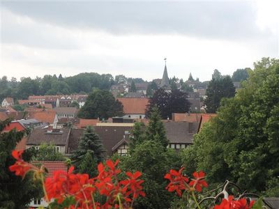 Ferienwohnung für 5 Personen (50 m²) in Bad Sachsa 2/10