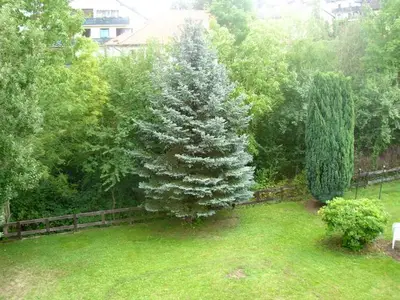 Ferienwohnung für 4 Personen (50 m²) in Bad Sachsa 4/10