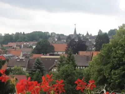 Ferienwohnung für 5 Personen (50 m²) in Bad Sachsa 2/10