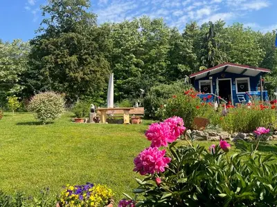 Ferienwohnung für 5 Personen (70 m²) in Bad Sachsa 3/10