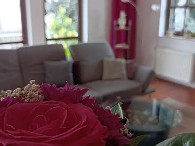 Ferienwohnung für 4 Personen (120 m²) in Bad Salzuflen 8/10