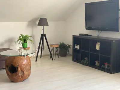 Ferienwohnung Th. Schulte Teutob. Wald TV-Platz