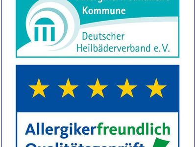 Logo Allergiker (3)