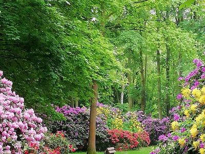 Inspiration - Rhododendronpark im Kurpark Mai 2018