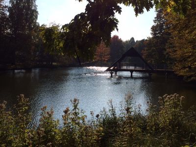 Kurpark im Herbst