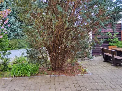 outside