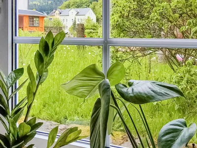 view-from-room