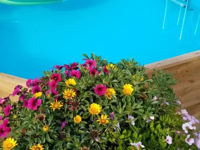Ferienwohnung für 2 Personen (28 m²) in Bad Schandau 8/10