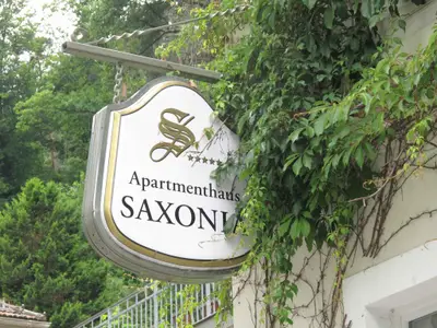 Ferienwohnung für 4 Personen (45 m²) in Bad Schandau 5/10