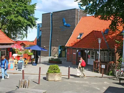 Bild 6