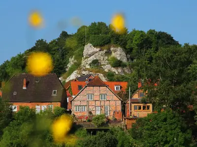 Bild 8