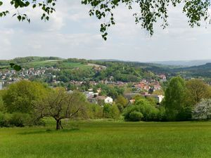 22692879-Ferienwohnung-4-Bad Soden-Salmünster-300x225-3