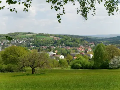 Ferienwohnung für 4 Personen (54 m²) in Bad Soden-Salmünster 4/10