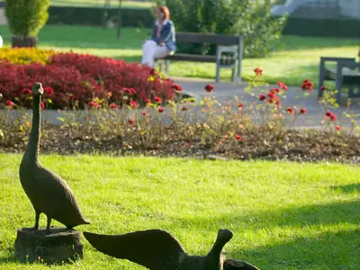 Ferienwohnung für 4 Personen (54 m²) in Bad Soden-Salmünster 6/10