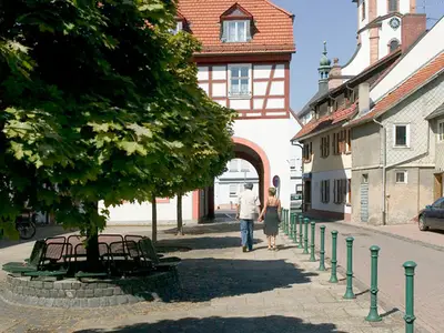 Ferienwohnung für 4 Personen (54 m²) in Bad Soden-Salmünster 7/10