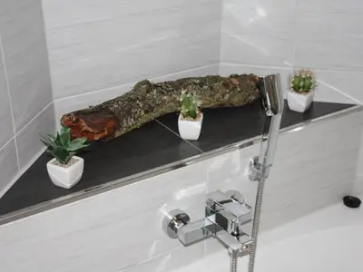 1 Christine Nasszell