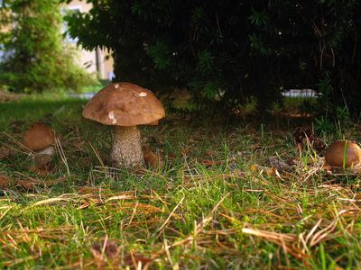 Ferienwohnung Heger Bad Steben, Herbszeit