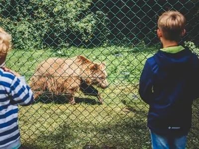 Ferienwohnung für 2 Personen (50 m²) in Bad Stuer 5/10