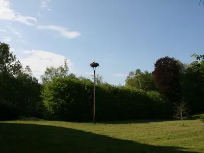 Ferienwohnung für 4 Personen (56 m²) in Bad Sülze 3/10