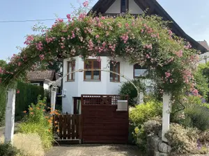 Ferienwohnung für 4 Personen (47 m²) in Bad Waldsee