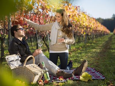 Picknick im Weingarten