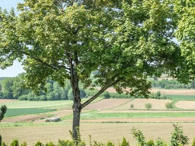 Ferienwohnung für 4 Personen (70 m²) in Bad Waltersdorf 9/10