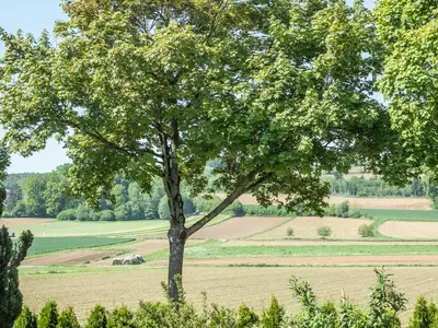 20220511-DSCF2682