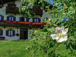 Ferienwohnung für 3 Personen (40 m²) in Bad Wiessee