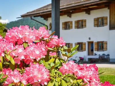 Ferienwohnung für 2 Personen (50 m²) in Bad Wiessee 7/10