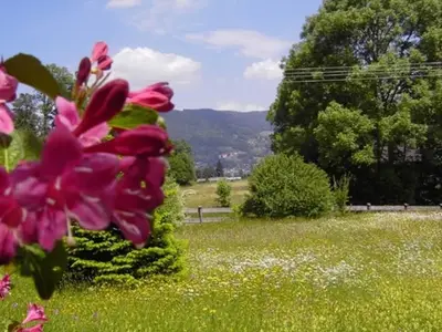 Ferienwohnung für 2 Personen (46 m²) in Bad Wiessee 5/10
