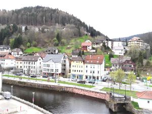 20877361-Ferienwohnung-4-Bad Wildbad Im Schwarzwald-300x225-2