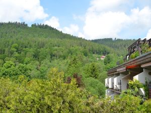 23363294-Ferienwohnung-2-Bad Wildbad Im Schwarzwald-300x225-1