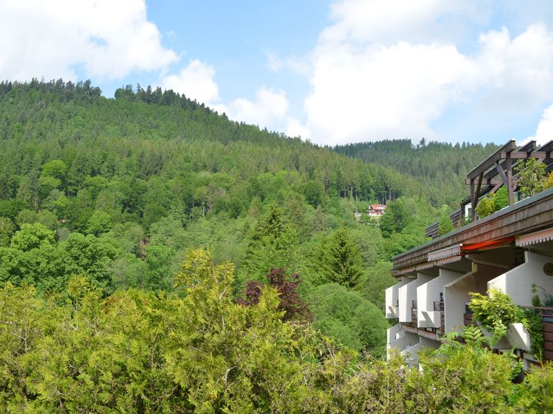 23363294-Ferienwohnung-2-Bad Wildbad Im Schwarzwald-800x600-1