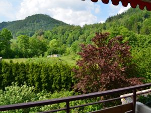 23363294-Ferienwohnung-2-Bad Wildbad Im Schwarzwald-300x225-2