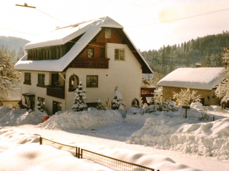 21633835-Ferienwohnung-3-Bad Wildbad Im Schwarzwald-800x600-1