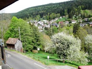 22218319-Ferienwohnung-4-Bad Wildbad Im Schwarzwald-300x225-3