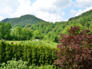 23363294-Ferienwohnung-2-Bad Wildbad Im Schwarzwald-300x225-3