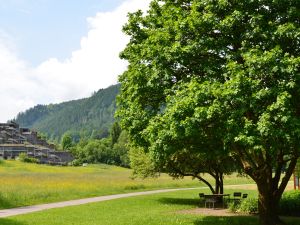 23363294-Ferienwohnung-2-Bad Wildbad Im Schwarzwald-300x225-4