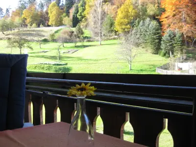 Ferienwohnung für 2 Personen (60 m²) in Bad Wildbad Im Schwarzwald 5/10