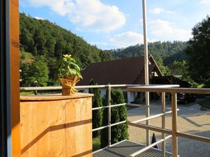 19340674-Ferienwohnung-5-Bad Wildungen-300x225-3