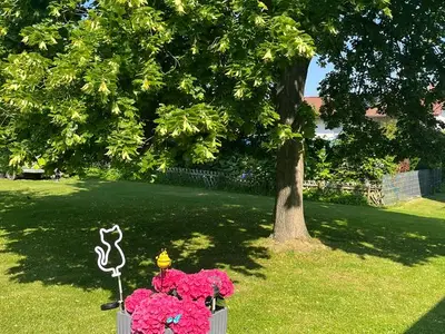 Ferienwohnung für 4 Personen (60 m²) in Bad Wildungen 5/10