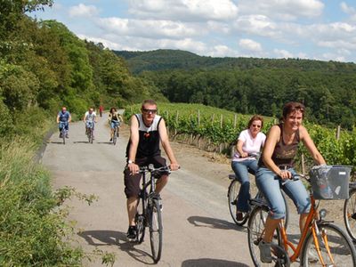 Landschaft - Umgebung Bad Windsheim