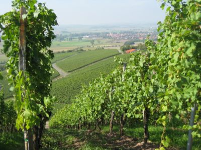 Landschaft - Umgebung Bad Windsheim