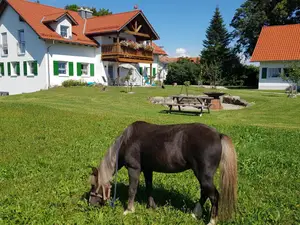 Ferienwohnung für 2 Personen (45 m²) in Bad Wörishofen