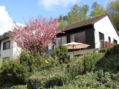 Ferienwohnung für 5 Personen (55 m²) in Bad Wünnenberg 2/10