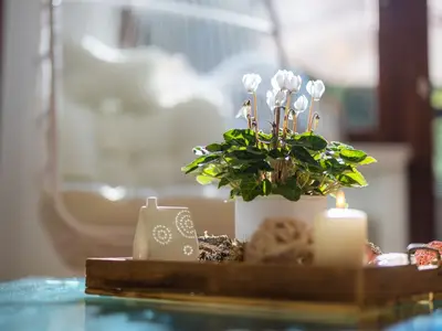 Ferienwohnung für 6 Personen (70 m²) in Bad Wünnenberg 7/10