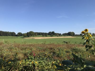 Ruhe und Erholung im Grünen