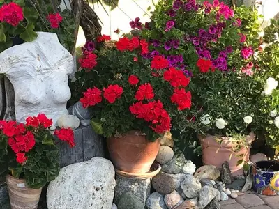 Ferienwohnung für 7 Personen (117 m²) in Bad Wurzach 2/10