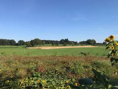 Ferienwohnung für 7 Personen (117 m²) in Bad Wurzach 4/10