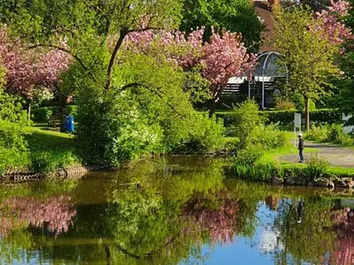 Ferienwohnung für 2 Personen (26 m²) in Bad Zwesten 4/10